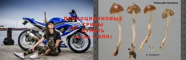 apvp Балахна