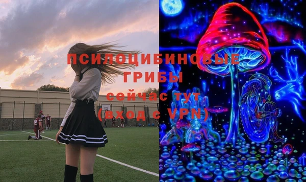 apvp Балахна