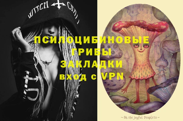 apvp Балахна