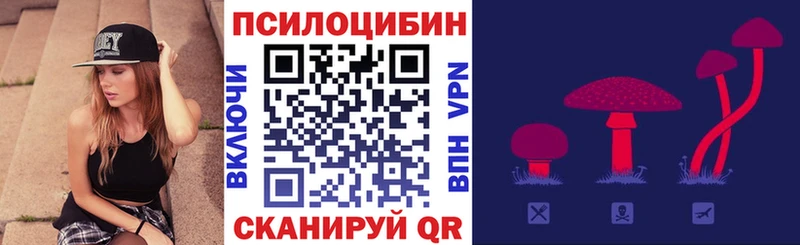 Купить закладки  Баймак  Псилоцибиновые грибы Psilocybine cubensis 